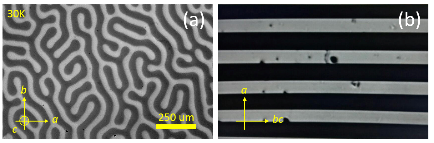 Faraday images of ferromagnetic domains in (a) 001-​cut and (b) 011-​cut DyTbFeO3