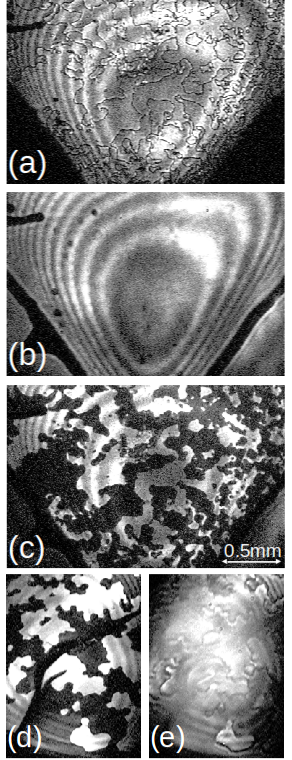(a) Magnetic SHG (b) Crystallographic SHG (c) Signal + reference (d) With imaging (e) Without imaging