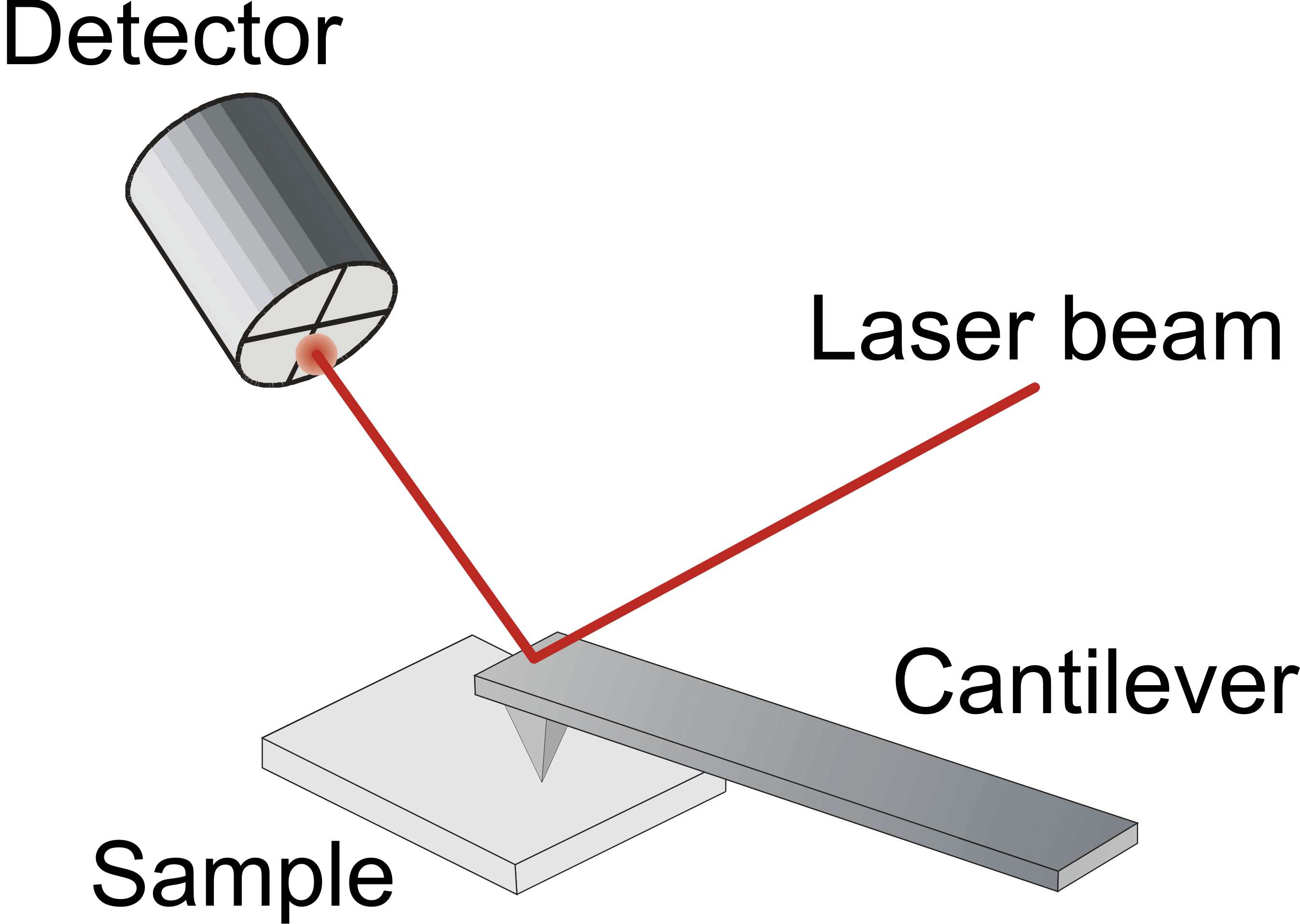 scanning probe microscopy laboratory for multifunctional ferroic scanning probe microscopy