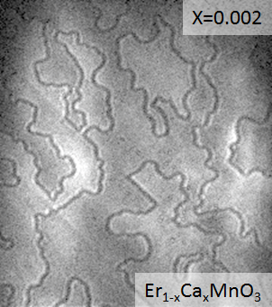 Antiferromagnetic domains in Er_1-xCa_xMnO_3